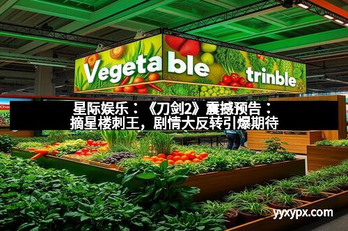 星际娱乐：《刀剑2》震撼预告：摘星楼刺王，剧情大反转引爆期待